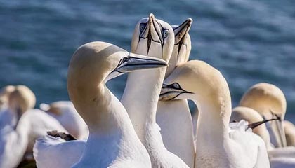 Taliesin 和 Evitel 每周新闻：暴雪拯救了《地心之战》前夕补丁！